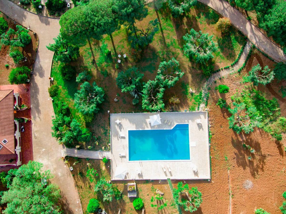 グロッターリエ Relais D 'Itria Bed & Breakfast エクステリア 写真